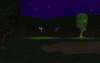 Night time at the Vale